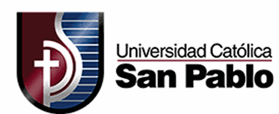 Logo 1313